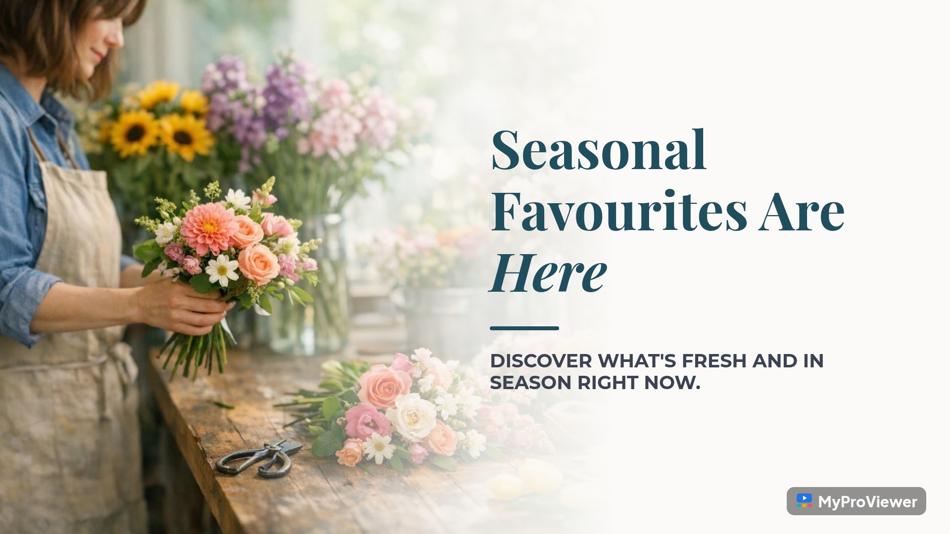 Seasonal Favourites Are Here